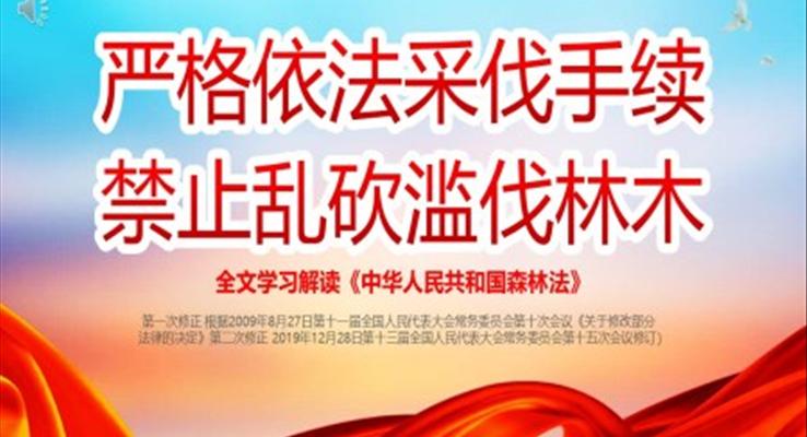 世界森林日嚴格依法采伐手續(xù)禁止亂砍亂伐林木宣傳推廣世界森林日ppt模板